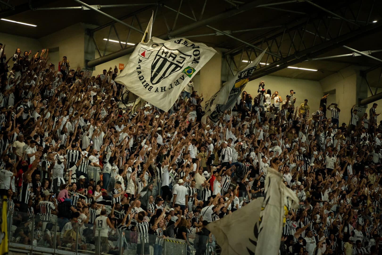 Torcida do Atlético-MG no Mineirão (foto: Daniela Veiga/Atlético-MG)