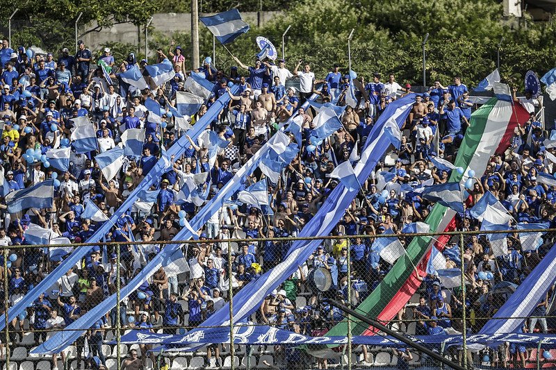 Torcida do Cruzeiro (foto: Staff Images / Cruzeiro)