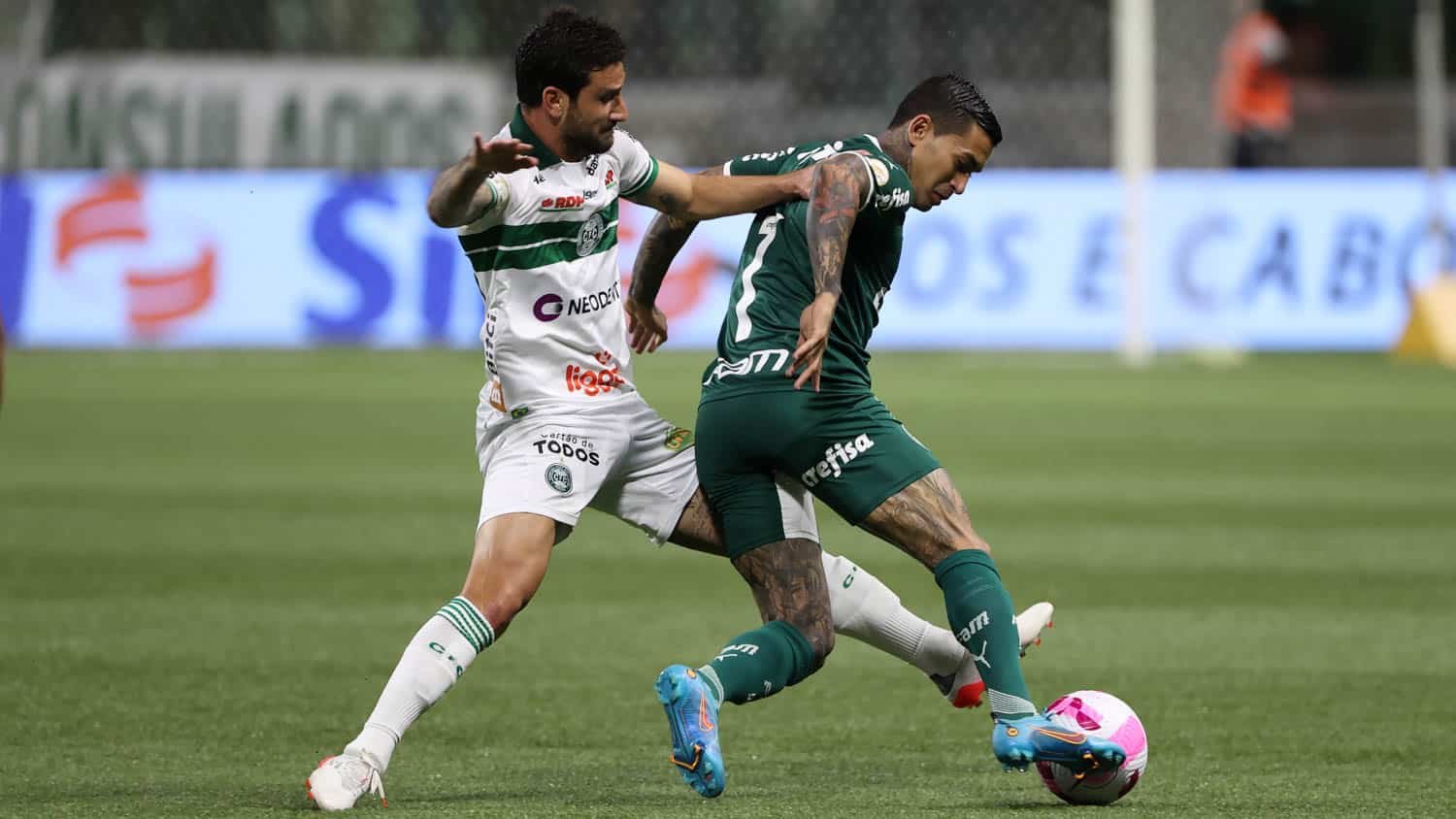 Palmeiras x Coritiba (foto: Foto: Cesar Greco/Palmeiras)
