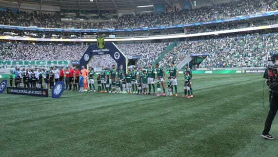 Torcedores do Palmeiras no Allianz Parque (foto: Mauricio Rito/Palmeiras)