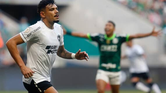 Botafogo venceu Palmeiras por 1 a 0 (foto: Vitor Silva/Botafogo)