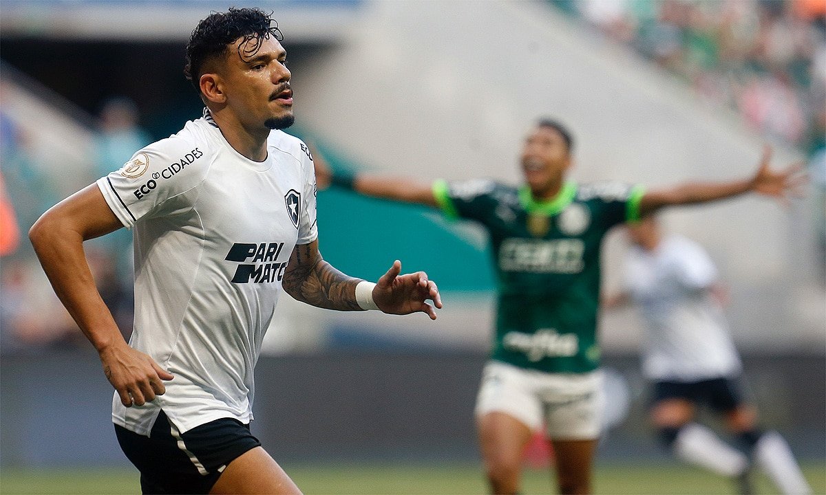Botafogo venceu Palmeiras por 1 a 0 (foto: Vitor Silva/Botafogo)