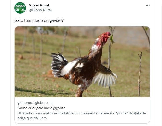 Postagem do Globo Rural (foto: Reprodução)