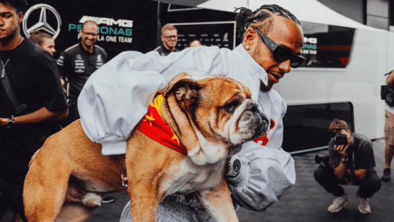 Lewis Hamilton com cachorro Roscoe no colo (foto: Reprodução Instagram)