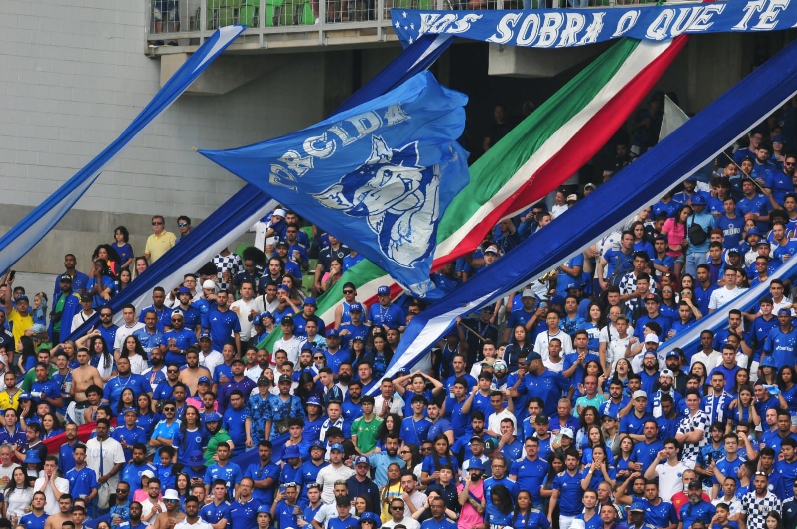 Torcida do Cruzeiro (foto: Leandro Couri/EM/DA Press)