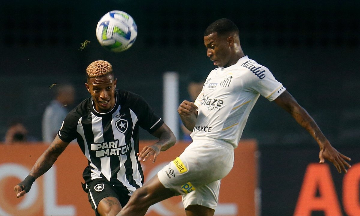Santos x Botafogo (foto: Vítor Silva/Botafogo)