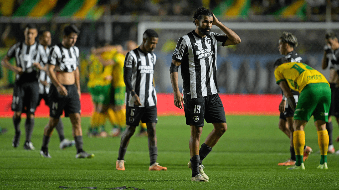 Jogadores do Botafogo (foto: Juan Mabromata/AFP)