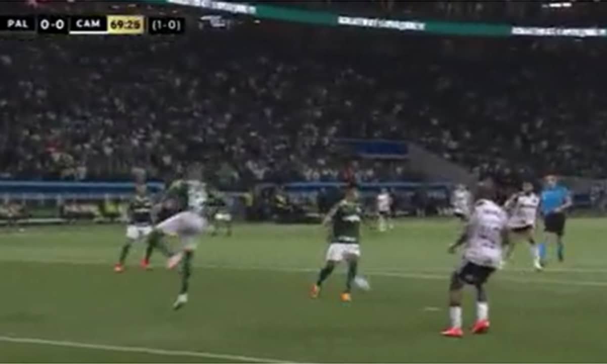 Palmeiras x Atlético (foto: Reprodução/TV Globo)