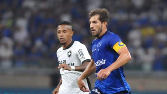 Cruzeiro x Botafogo, no Mineirão (foto: Alexandre Guzanshe/EM/DA Press)