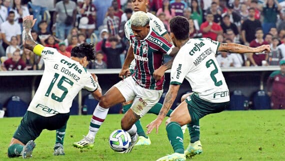 Fluminense venceu Palmeiras por 2 a 1 (foto: MAILSON SANTANA/FLUMINENSE FC)