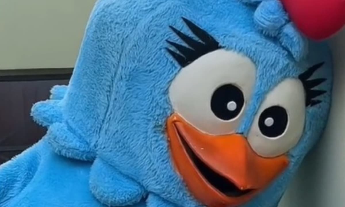 Galinha Pintadinha, desenho infantil (foto: Reprodução/TikTok)