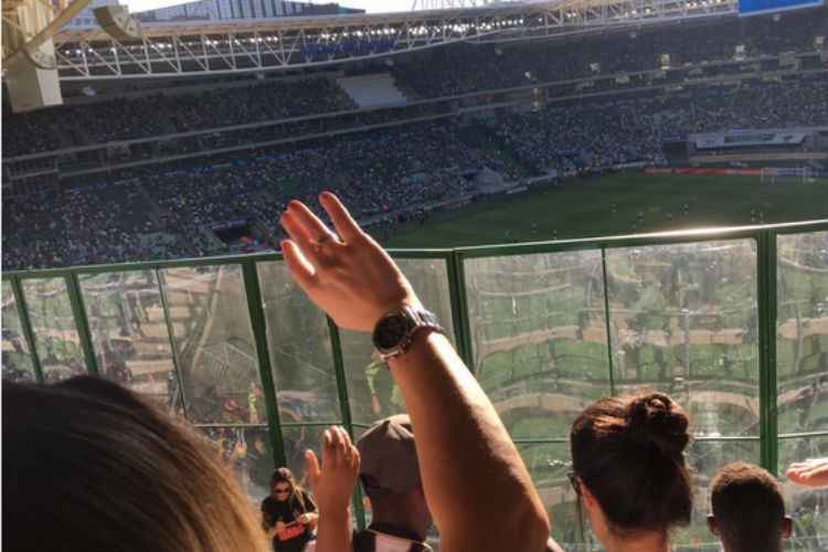 Vidro colocado em frente ao setor visitante do Allianz Parque - (foto: Reprodução)