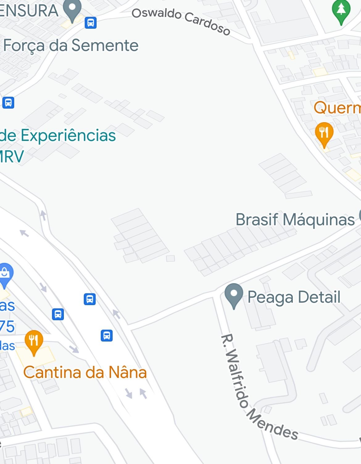 Chegada à Arena MRV pela Rua Walfrido Mendes - (foto: Reprodução/Google Maps)