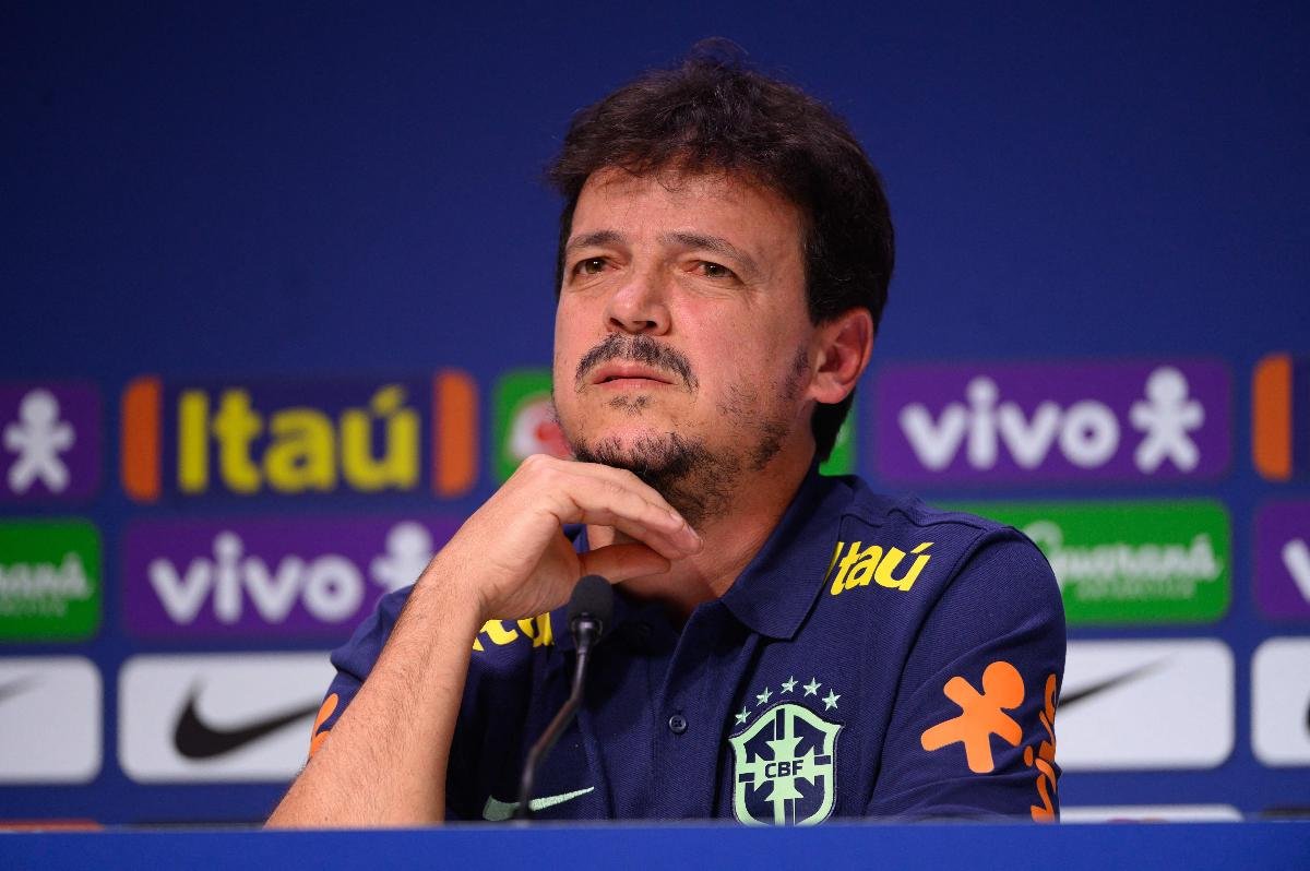 Fernando Diniz na Seleção Brasileira (foto: MAURO PIMENTEL)