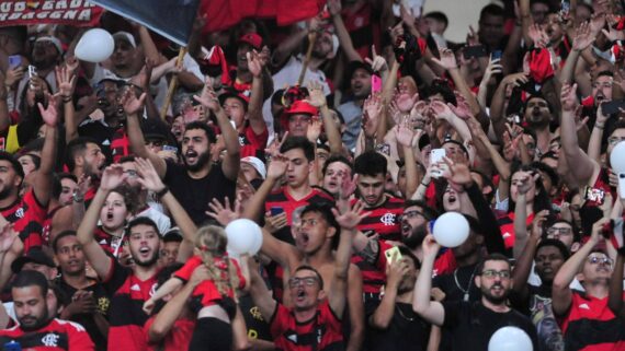 Torcedores do Flamengo (foto: Alexandre Guzanshe/EM/D.A Press)