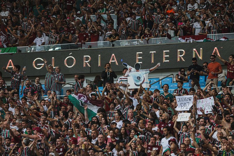 Torcida do Fluminense na final da Libertadores (foto: LUCAS MERÇON/FLUMINENSE F.C.)