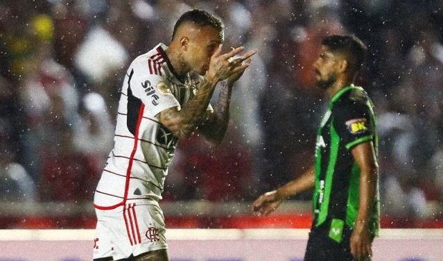 América x Flamengo Parque do Sabiá (foto: Divulgação / Flamengo)