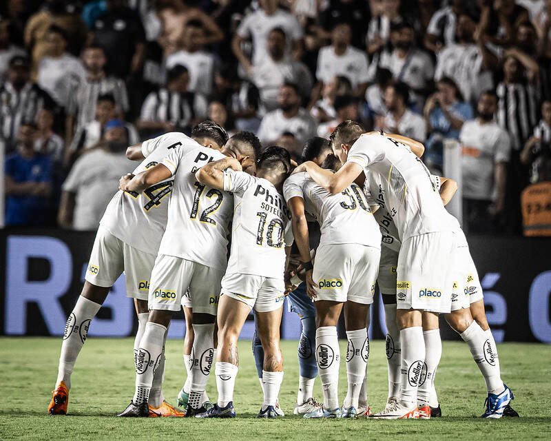 Santos foi rebaixado no Campeonato Brasileiro de 2023 - (foto: Raul Baretta/ Santos FC)