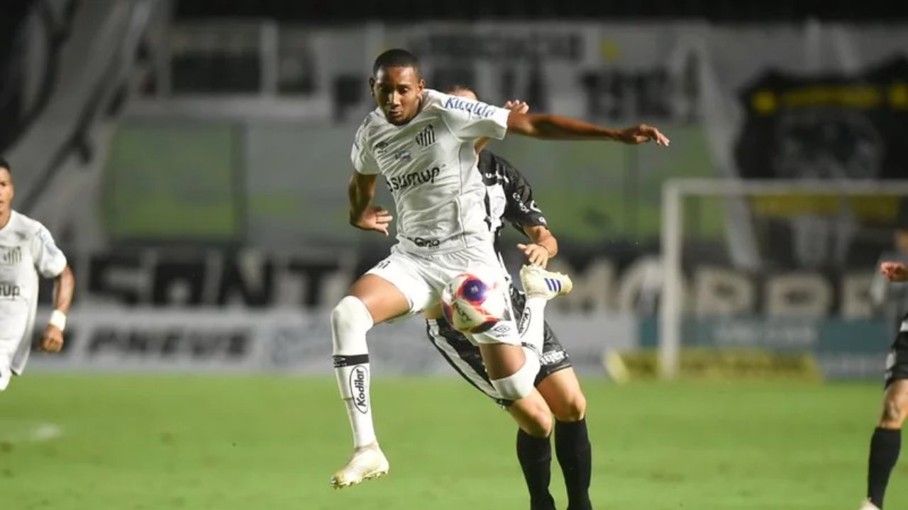 Wellington Tim em ação pelo Santos (foto: Ivan Storti / Santos FC)