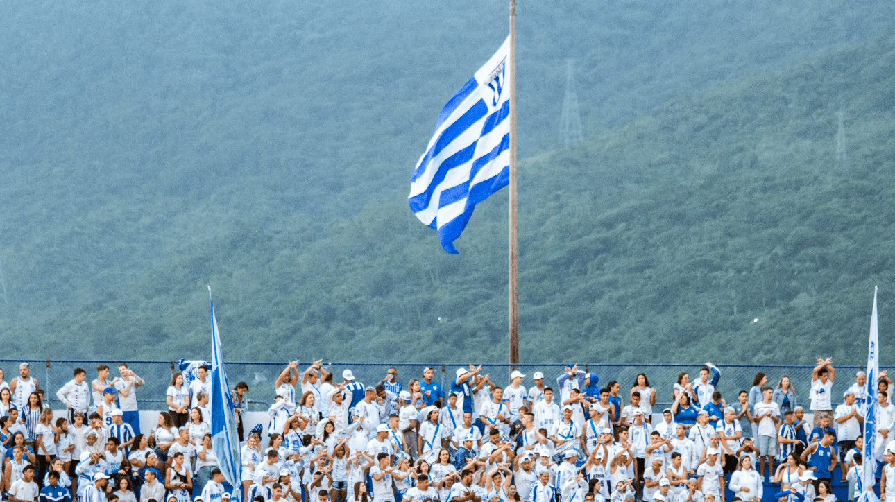 Torcida do Avaí (foto: Laysa Silva/Avaí F.C)