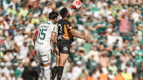 Palmeiras e Novorizontino (foto: Gustavo Ribeiro / Novorizontino)