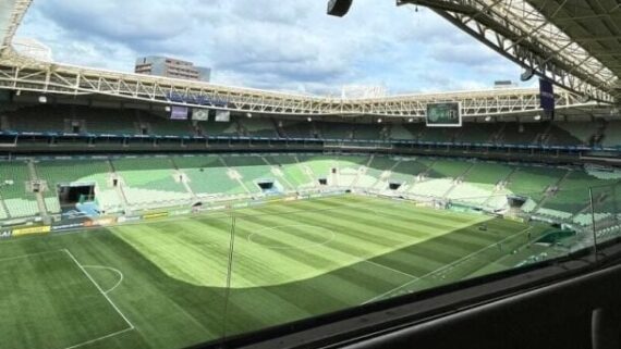 Gramado do Allianz Parque (foto: Divulgação/Palmeiras)