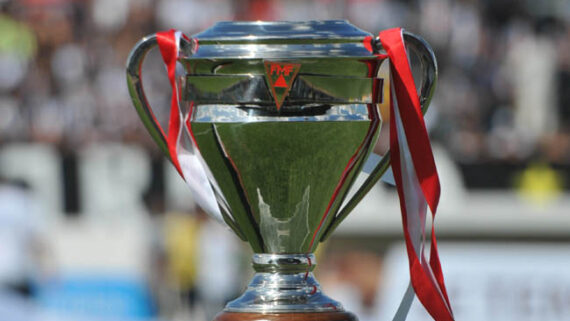 Troféu do Campeonato Mineiro (foto: Rodrigo Clemente/EM/D.A Press)