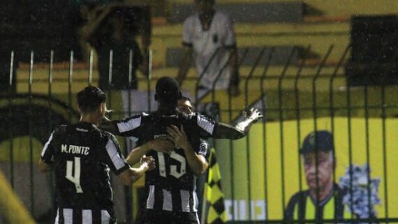 Jogadores do Botafogo comemorando (foto: Vitor Silva/Botafogo)