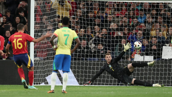 Rodri (foto: Thomas COEX / AFP)