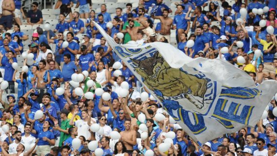 Torcida do Cruzeiro no Mineirão (foto: Alexandre Guzanshe/EM D.A Press)