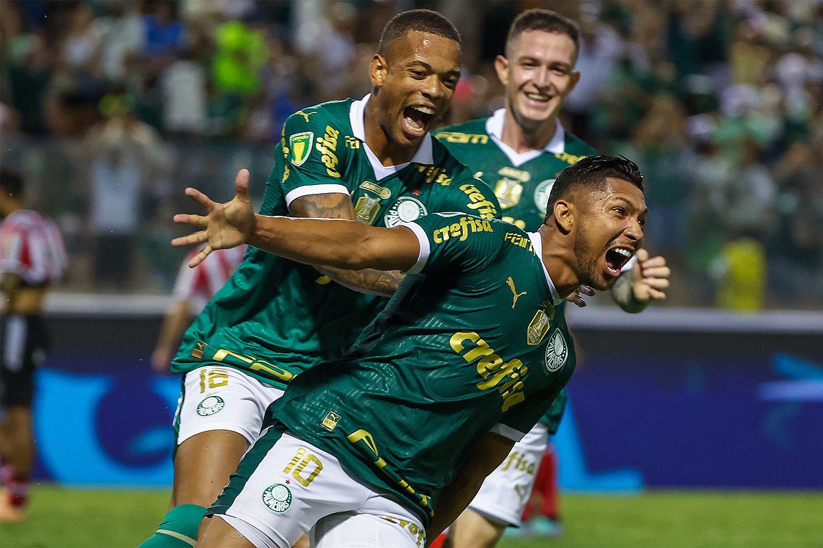 Rony fez o gol da vitória do Palmeiras sobre o Botafogo-SP (foto: Fabio Menotti/Palmeiras)