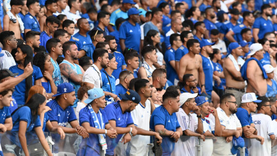 Torcedores do Cruzeiro no Mineirão (foto: Leandro Couri/EM/D.A. Press)
