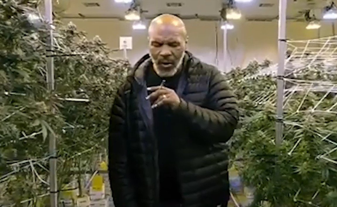 Mike Tyson (foto: Reprodução/The Sun)