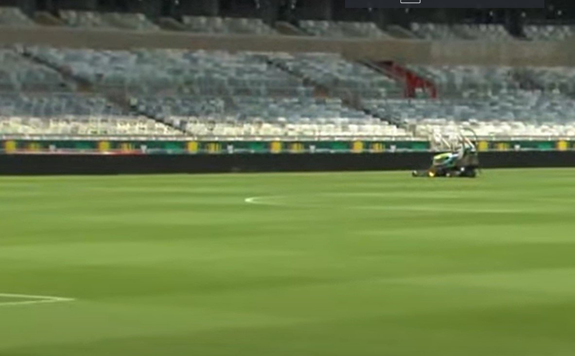 Gramado do Mineirão (foto: Reprodução/TV Alterosa)