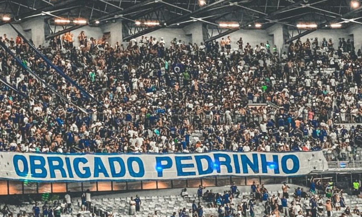 Torcida do Cruzeiro no Mineirão (foto: Redes sociais/Reprodução)