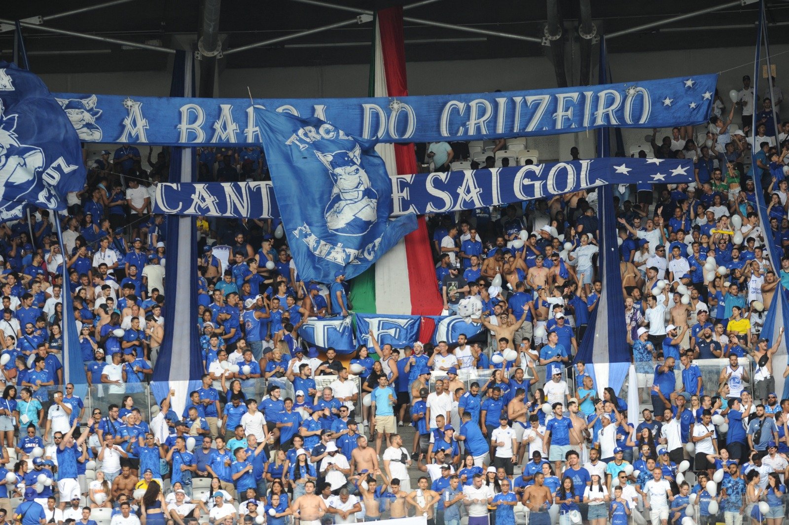 Torcedores do Cruzeiro no Mineirão durante a final do Mineiro contra o Atlético (foto: Leandro Couri/EM/D.A Press)