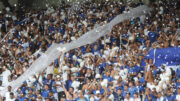 Torcida do Cruzeiro no Mineirão (foto: Alexandre Guzanshe/EM DA Press)