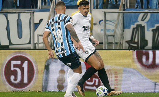 Botafogo e Grêmio se enfrentam pelo Brasileiro (foto: Vitor Silva/Botafogo)