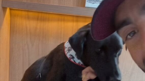 Pedro Scooby e Eldorado, cão que adotou no Rio Grande do Sul (foto: Redes sociais/Reprodução)