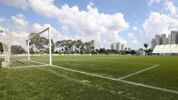 Campo da Academia do Palmeiras (foto: Divulgaçã/Palmeiras)