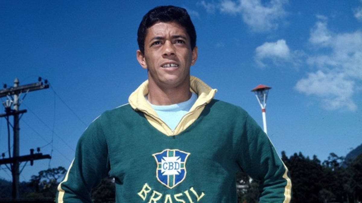 Amarildo, ex-jogador de futebol (foto: Divulgação / CBF)