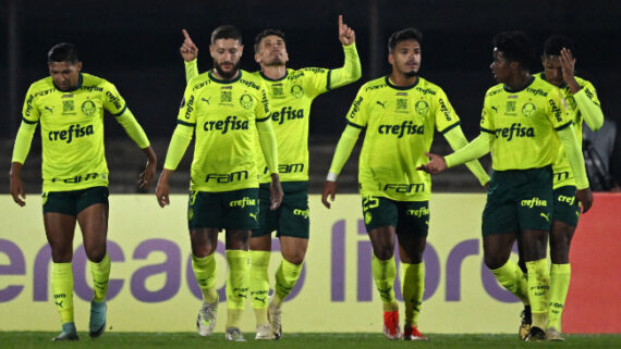Palmeiras em jogo da Libertadores (foto: AFP)