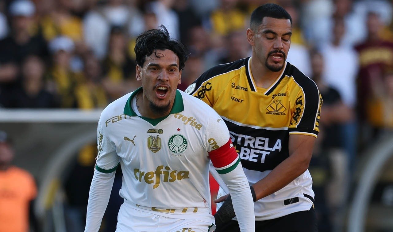 Palmeiras ganhou do Criciúma por 2 a 1 (foto: Cesar Greco/Palmeiras)