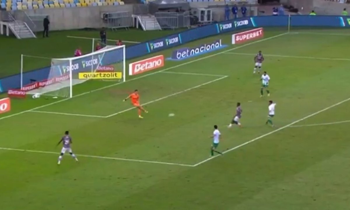 Fábio, goleiro do Fluminense (foto: Reprodução)