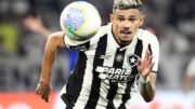 Tiquinho, atacante do Botafogo, em campo (foto: Vitor Silva/Botafogo)