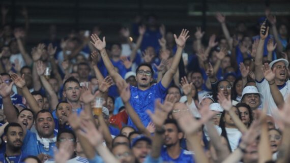 Torcedores do Cruzeiro (foto: Alexandre Guzanshe/EM/D.A Press)