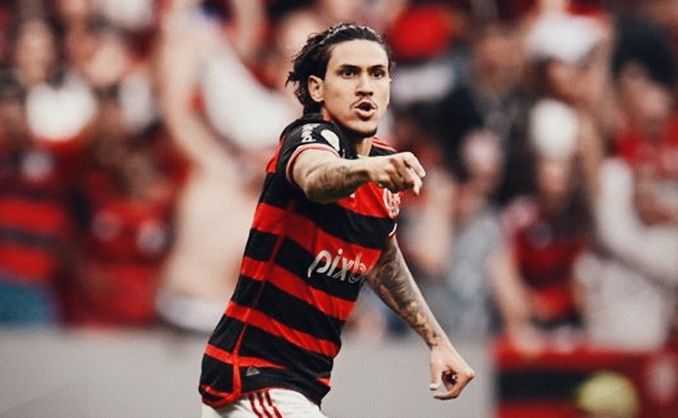 Pedro comemora gol pelo Flamengo diante do Criciúma (foto: Divulgação/Flamengo)