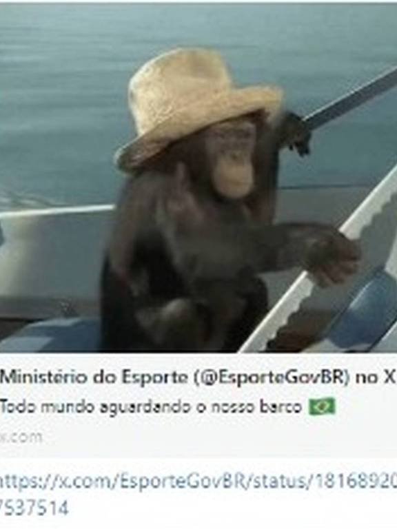 Post do Ministério do Esporte em alusão ao desfile da delegação do Brasil (foto: Reprodução)