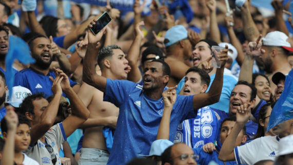 Torcida do Cruzeiro no Mineirão (foto: Alexandre Guzanshe/EM/D.A Press)