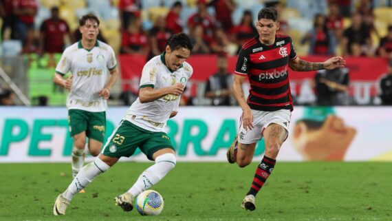 Flamengo e Palmeiras se enfrentam neste domingo (11/8) no Maracanã (foto: Cesar Greco/Palmeiras)